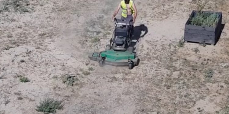 Warszawa: Zamiast trawnika „koszą piaskownice”? Internauci zdumieni