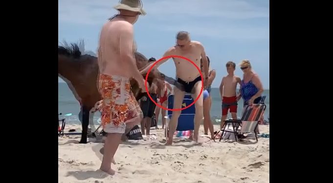 Koń zaatakował turystę na plaży. Nagranie trafiło do sieci [WIDEO]
