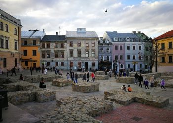 Dziwne zwierzę bez futra biegało po Lublinie. Znaleziono jego truchło