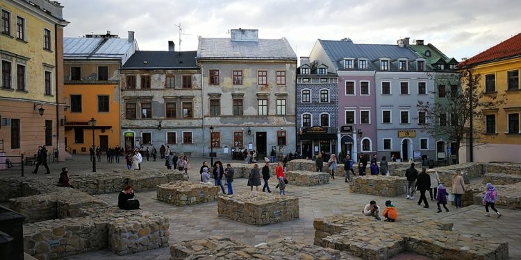 Dziwne zwierzę bez futra biegało po Lublinie. Znaleziono jego truchło