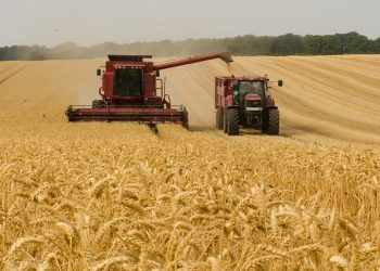 Edycja genomów w rolnictwie. Naukowcy apelują do Unii Europejskiej