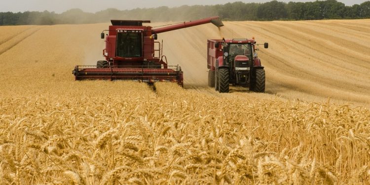 Edycja genomów w rolnictwie. Naukowcy apelują do Unii Europejskiej