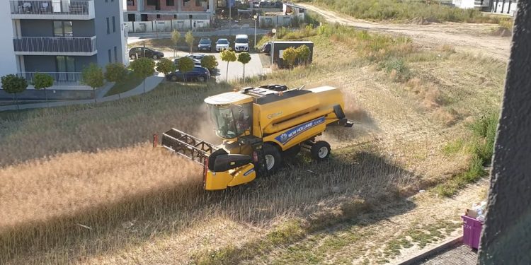 Żniwa pomiędzy blokami. Nagranie z Lublina hitem sieci