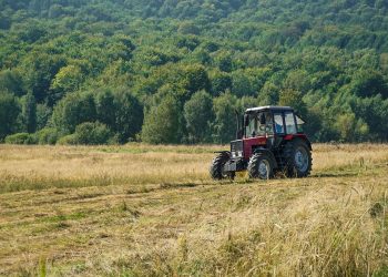 Tragedia na Śląsku. Zginął dziadek, wnuczek walczy o życie