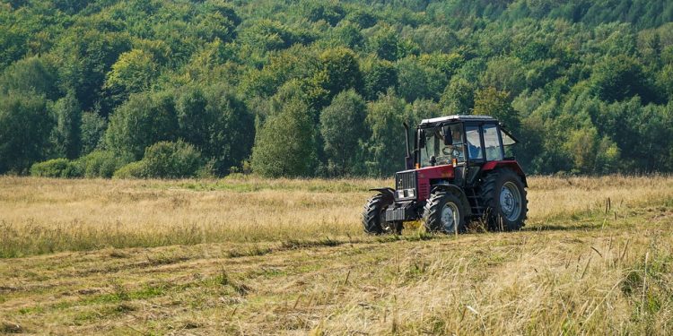 Tragedia na Śląsku. Zginął dziadek, wnuczek walczy o życie