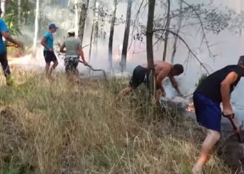 Dolnośląskie: Ukraińcy ratowali las przed pożarem. „Ogień mógłby dojść do domów”