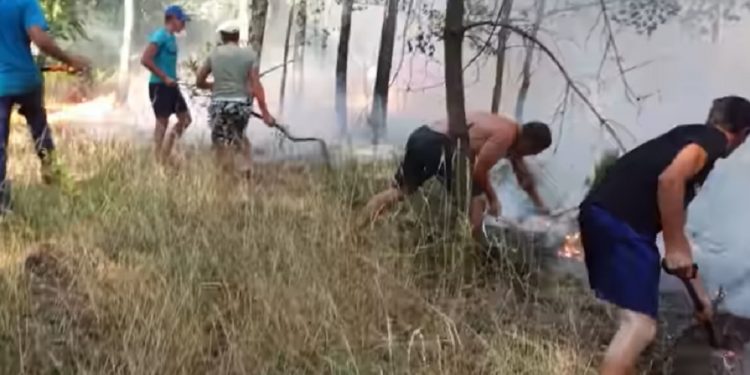 Dolnośląskie: Ukraińcy ratowali las przed pożarem. „Ogień mógłby dojść do domów”