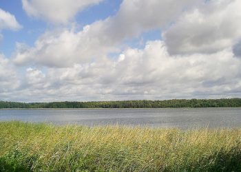 WP: Nowe służby włączą się w poszukiwania Piotra Woźniaka-Staraka. Doprowadzą do przełomu?