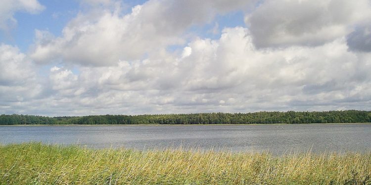 WP: Nowe służby włączą się w poszukiwania Piotra Woźniaka-Staraka. Doprowadzą do przełomu?