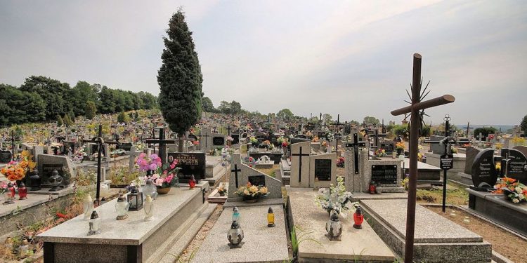 Horrendalne ceny na cmentarzu w Brzezinach. Mieszkańcy piszą do arcybiskupa