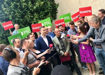 Kukiz i PSL razem startują w wyborach. To oficjalne