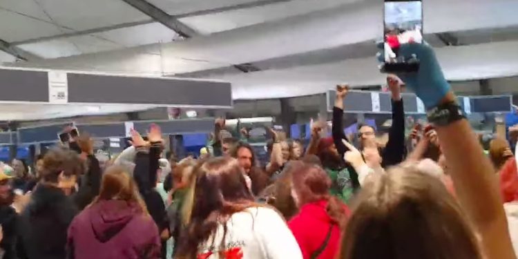 Wielka impreza w Lidlu podczas Pol’and’Rock Festival. Nagle wszyscy zaczęli tańczyć [WIDEO]