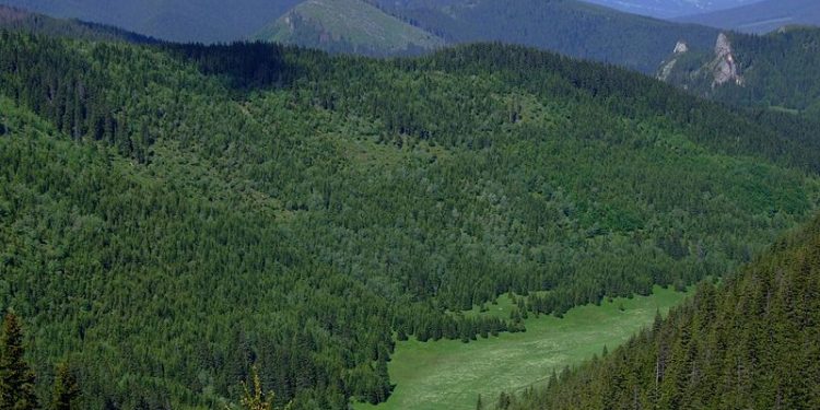 Tatry. Szalony żołnierz ukrył się w górach? Dotarli do „Rambo”