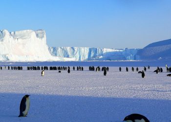 Nowa polska stacja antarktyczna zacznie działalność w 2023 r.