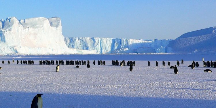 Nowa polska stacja antarktyczna zacznie działalność w 2023 r.