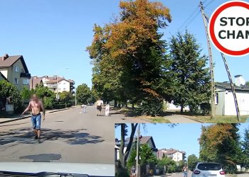Gdynia: Agresywni mężczyźni blokowali drogę i atakowali przypadkowe auta. Interweniowała policja [WIDEO]