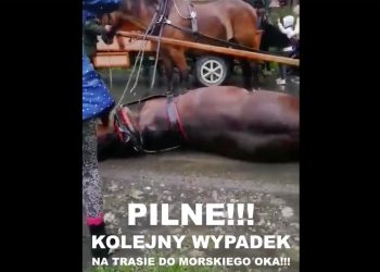 Burza w Tatrach. Na trasie do Morskiego Oka przewrócił się koń. „Jego język był siny a oczy wywrócone”