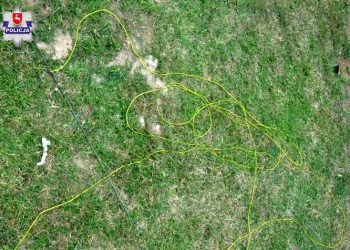 58-latek wykopywał robaki na połów ryb. Doszło do tragedii