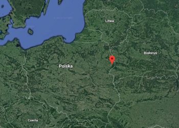 W okolicy Hajnówki odkryto starożytną osadę. Pomogły… krety