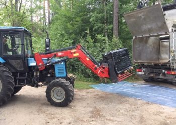 Olsztyn: Zdumiewające znalezisko leśników. Cztery palety jajek w lesie