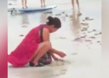 Turystka zakopała pieluchę dziecka. Zamknięto plażę, trwają poszukiwania [WIDEO]