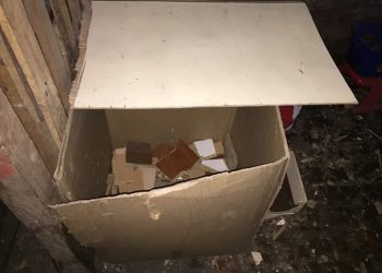 Schował się w kartonie przed policją. Znaleźli go