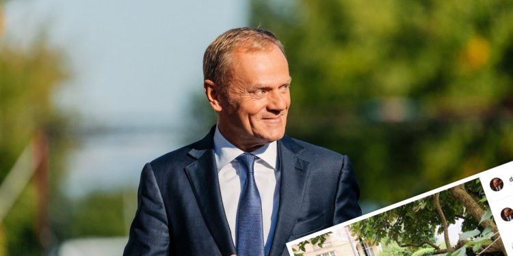 Donald Tusk w nowej i nietypowej roli. „Konkurs rozstrzygnięty”