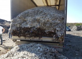 Śląsk: Nielegalny transport zmierzał z Niemiec do Polski. Interweniowały służby