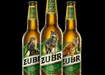 Zmiany na etykietach piwa „Żubr”. Kompania Piwowarska wesprze zagrożone gatunki