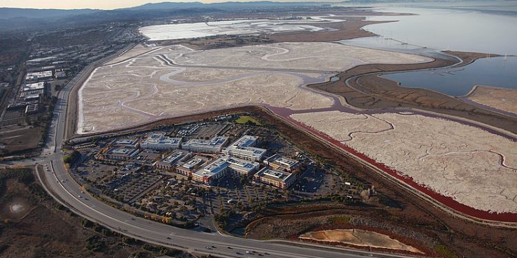 Samobójstwo w centrali Facebooka! Pracownik nie żyje