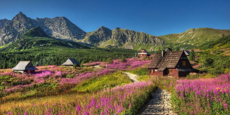 Jeden z najpopularniejszych szlaków w polskich Tatrach zamknięty