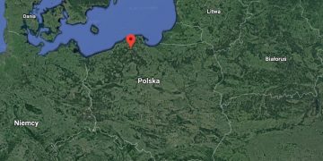Wymarła w Polsce od 60 lat roślina – ponownie się pojawiła