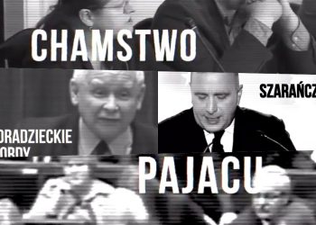 Najnowszy spot PSL zbulwersował internautów. „Serio? Wylądujecie pod progiem”