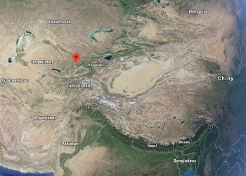 Uzbekistan: Polscy archeolodzy odkryli bogate skupisko rytów naskalnych