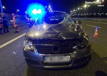 Jeleń wbiegł pod samochód. Zginął policjant