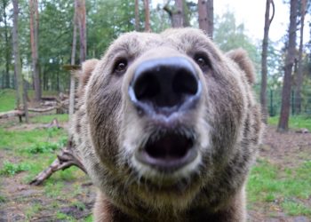 Fantastyczne informacje z poznańskiego zoo. Pracownicy wzruszeni