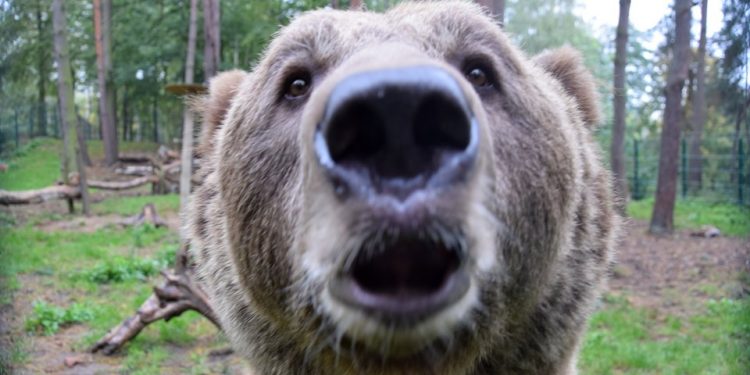Fantastyczne informacje z poznańskiego zoo. Pracownicy wzruszeni