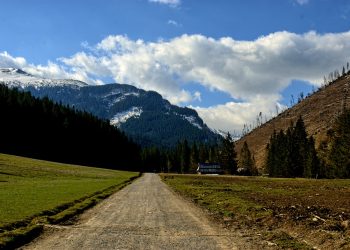 Woźnica wywrócił dorożkę z turystami w Dolinie Kościeliskiej. Był pod wpływem alkoholu