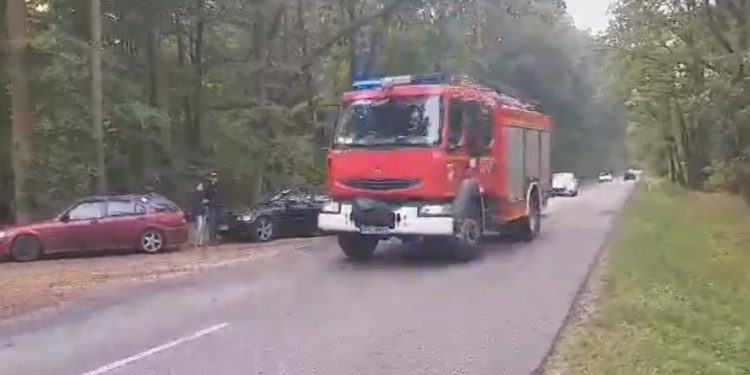 Wybuch bomby podczas rozbrajania. Sześciu saperów rannych [WIDEO]