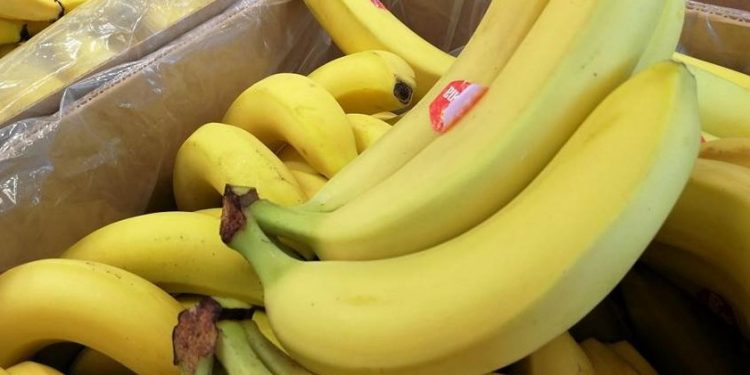 Banany podrożeją nawet o 50%. Plantatorzy ponoszą coraz większe koszty utrzymania produkcji