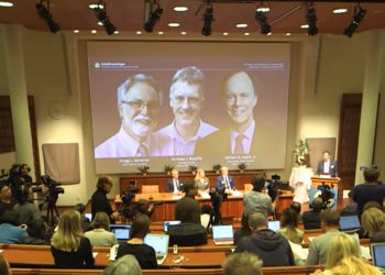 Nobel za badania dotyczące „tlenowych regulacji” na poziomie komórki