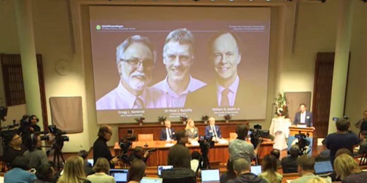 Nobel za badania dotyczące „tlenowych regulacji” na poziomie komórki