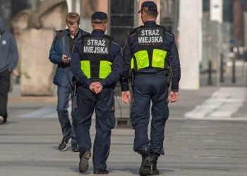 Rosną wpływy z mandatów od straży miejskich. Głównie za sprawą kierowców