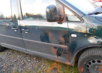 Ślady niedźwiedzich łap na karoserii samochodu. Eksperci ostrzegają