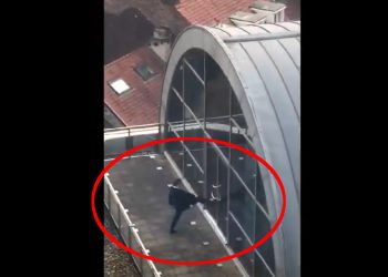 Polski europoseł zatrzasnął się na tarasie. Kopał drzwi [WIDEO]