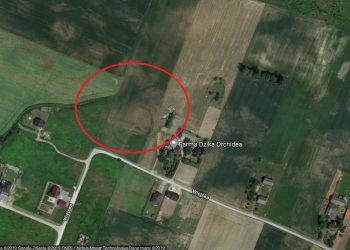 Kujawsko-Pomorskie: Sensacyjne odkrycie archeologiczne. Dwie olbrzymie konstrukcje sprzed 7 tys. lat!