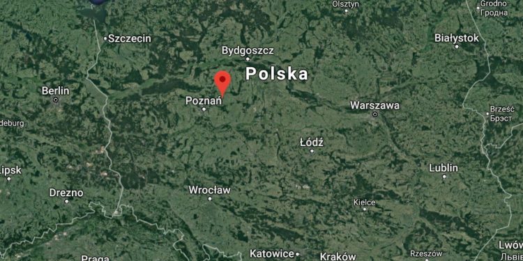 Wielkopolska: Naukowcy odkryli fragment pradawnego instrumentu