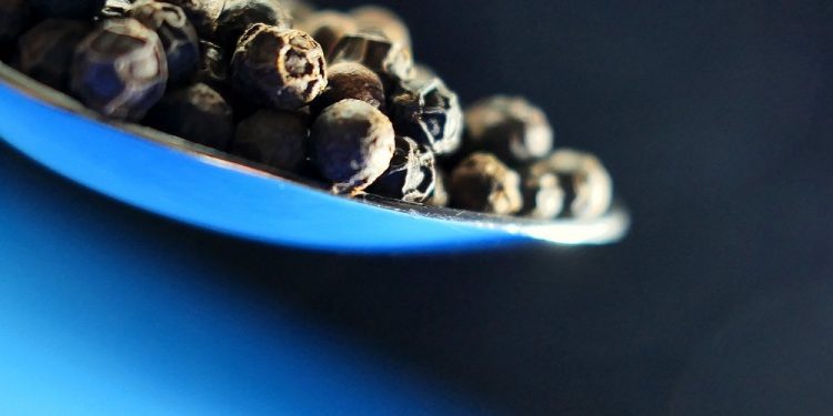 Ostrzeżenie publiczne GIS: Pieprz mielony z salmonellą!