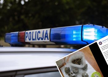 Policjanci zatrzymali mężczyznę w Krakowie. Ten próbował ich przekupić… marihuaną