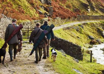 Zakaz polowania na ptaki? Polacy wypowiedzieli się w sondażu